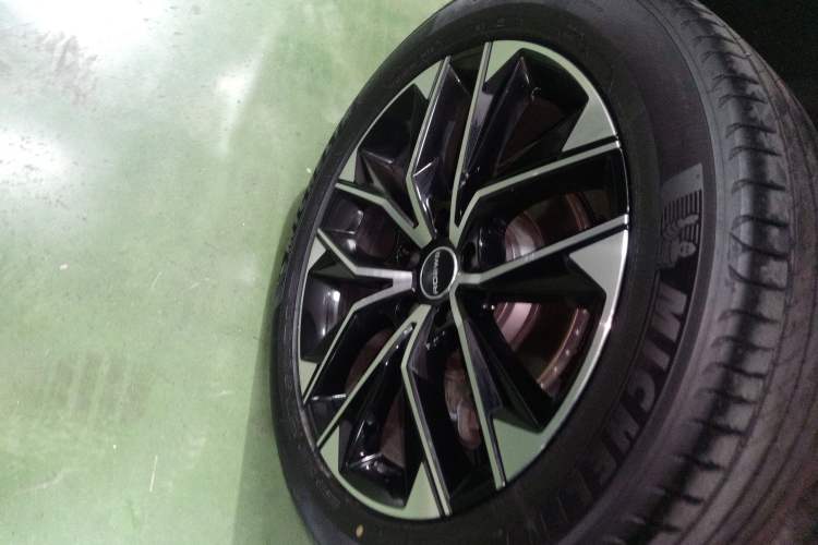 Used Roewe RX9 2023 2.0T Two-Wheel Drive Enjoyment Version Exterior 5