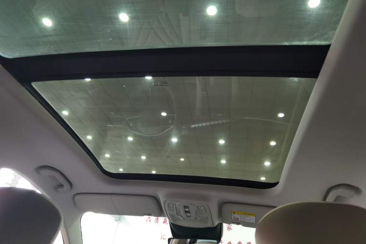 Used Roewe RX9 2023 2.0T Two-Wheel Drive Enjoyment Version Headliner