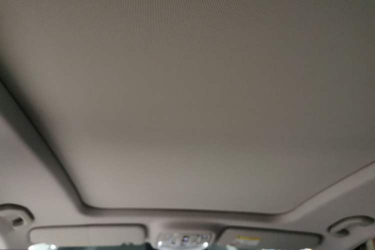 Used Roewe RX9 2023 2.0T Four-Wheel Drive Luxury Edition Headliner