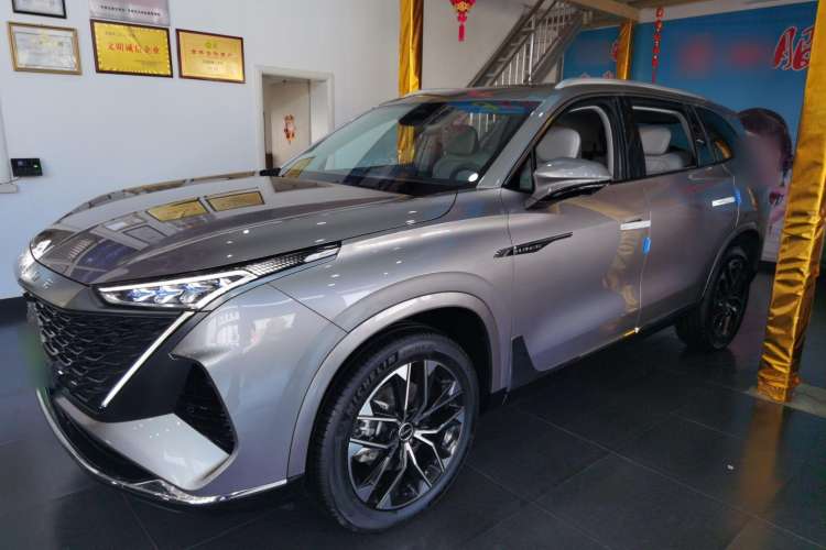 Used Roewe RX9 2023 2.0T Two-Wheel Drive Enjoyment Version Left Side