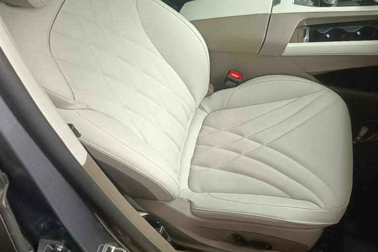 Used Roewe RX9 2023 2.0T Two-Wheel Drive Enjoyment Version Right Front Seat