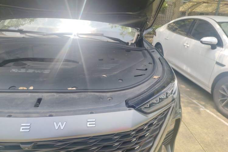 Used Roewe RX9 2023 2.0T Two-Wheel Drive Enjoyment Version Engine Bay Left