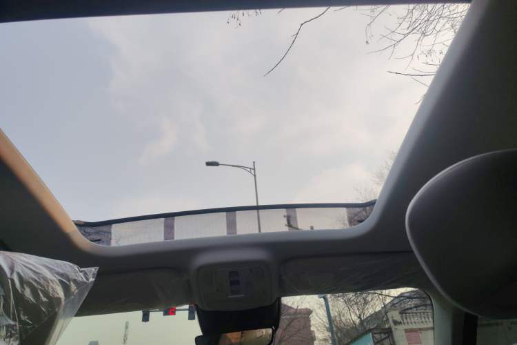 Used Roewe RX9 2023 2.0T Two-Wheel Drive Enjoyment Version Headliner