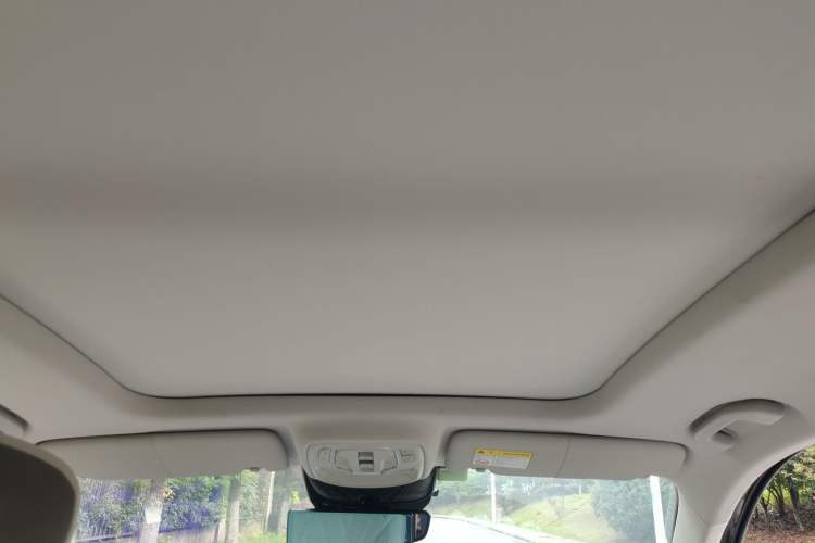 Used Roewe RX9 2023 2.0T Two-Wheel Drive Enjoyment Version Headliner
