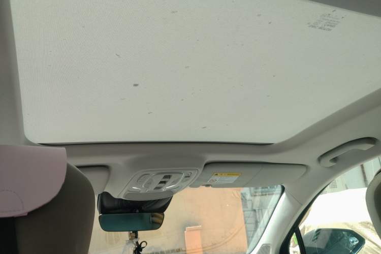 Used Roewe RX9 2023 2.0T Four-Wheel Drive Luxury Edition Headliner