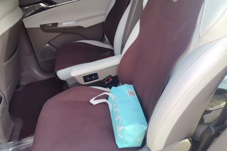 Used Roewe RX9 2023 2.0T Two-Wheel Drive Enjoyment Version Left Rear Seat
