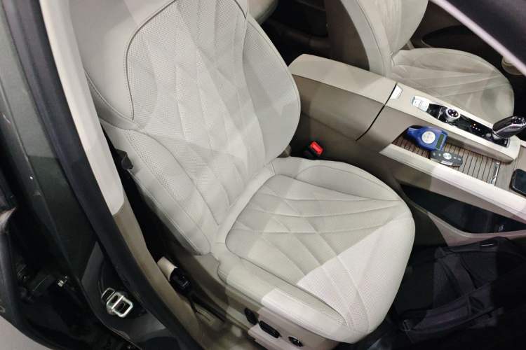 Used Roewe RX9 2023 2.0T Two-Wheel Drive Enjoyment Version Right Front Seat