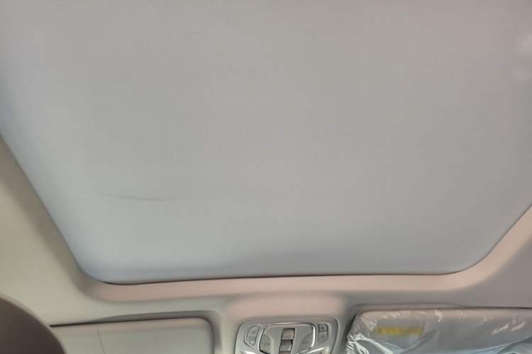 Used Roewe RX9 2023 2.0T Four-Wheel Drive Luxury Edition Headliner