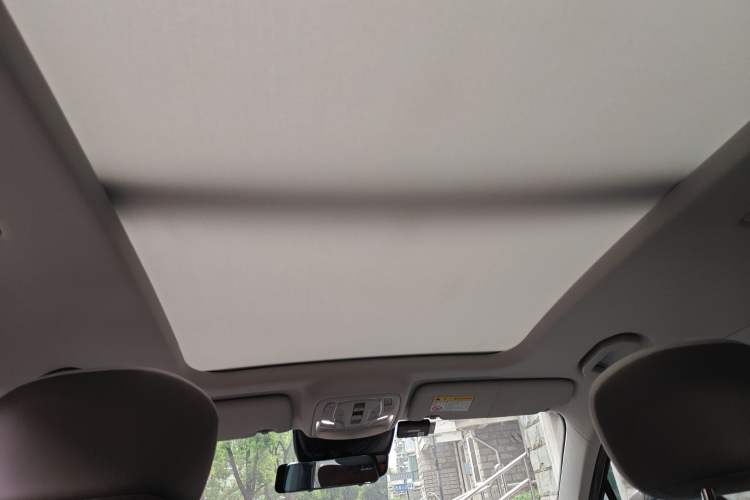 Used Roewe RX9 2023 2.0T Two-Wheel Drive Enjoyment Version Headliner