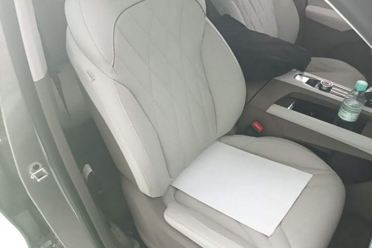 Used Roewe RX9 2023 2.0T Two-Wheel Drive Enjoyment Version Right Front Seat