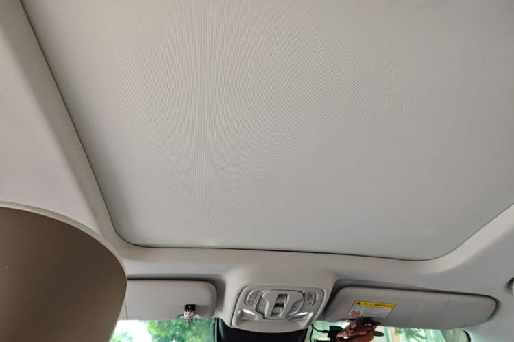 Used Roewe RX9 2023 2.0T Two-Wheel Drive Enjoyment Version Headliner