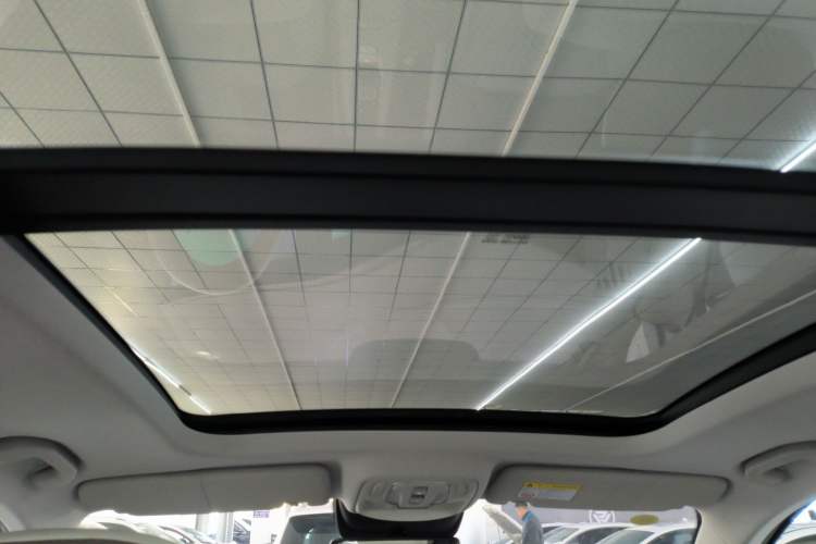 Used Roewe RX9 2023 2.0T Two-Wheel Drive Enjoyment Version Headliner