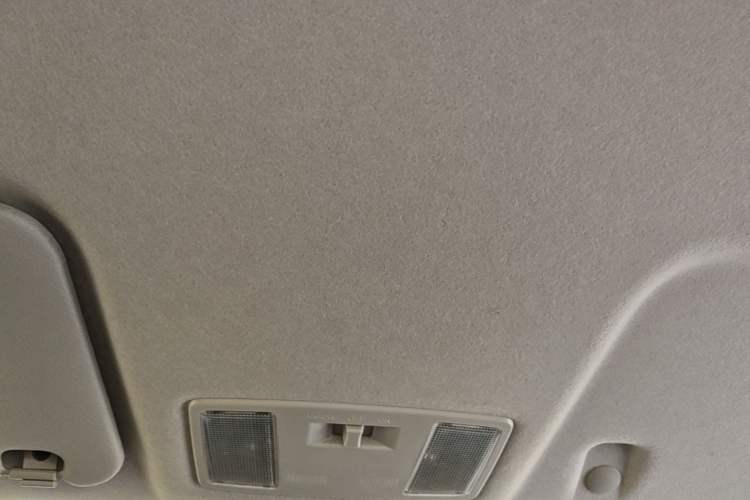 Used Ruichi C5 2025 Model All-Electric Single-Row Pioneer Flatbed Headliner