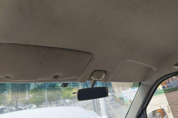Used Ruichi EC31 2023 Standard Edition PVC 38.64 kWh Headliner
