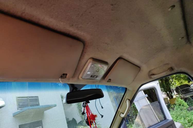 Used Ruichi EC35 2019 EC35 II Standard Model 41.86 kWh Headliner