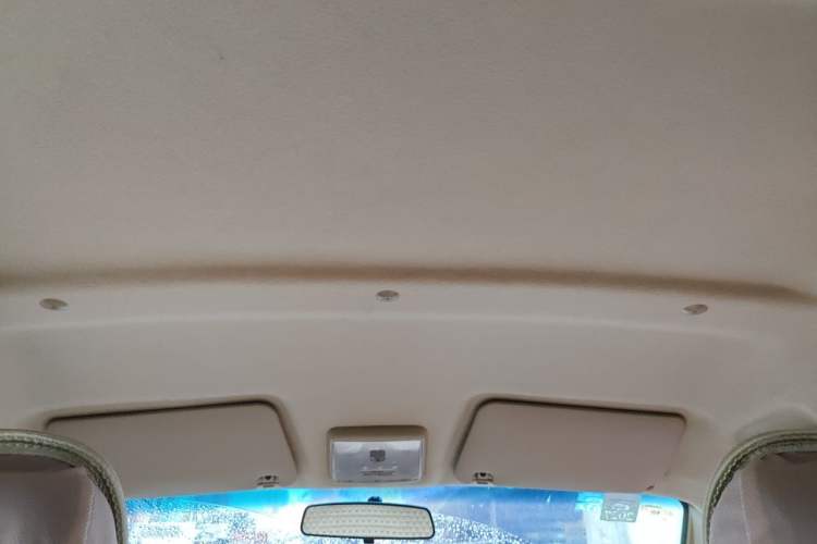 Used Ruichi EC35 2019 EC35 II Standard Model 41.86 kWh Headliner