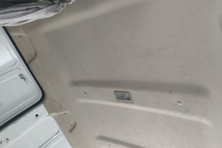 Used Ruichi EC35 2020 EC35 II Standard Edition 38.7 kWh Headliner