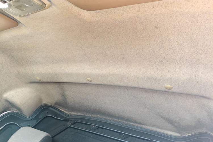Used Ruichi EC35 2020 EC35 II Standard Edition 38.7 kWh Headliner