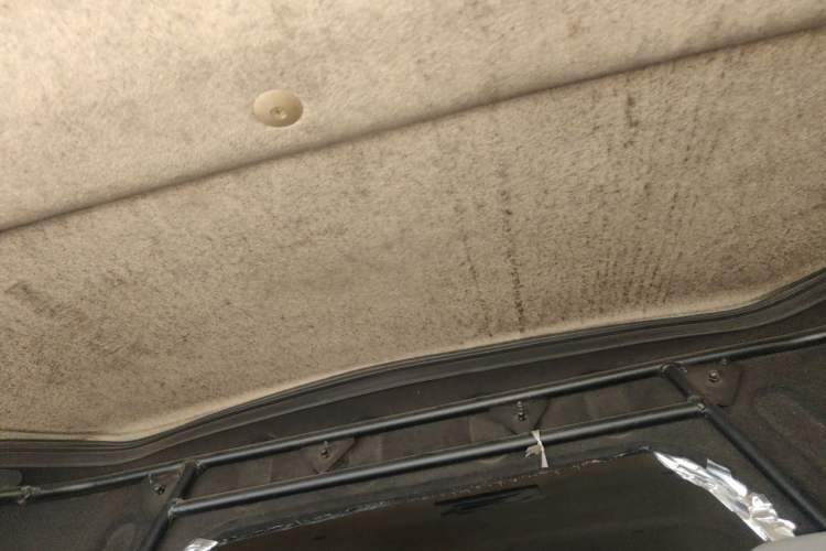 Used Ruichi EC35 2020 EC35 II Standard Edition 38.7 kWh Headliner