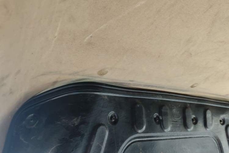 Used Ruichi EC35 2020 EC35 II Standard Edition 38.64 kWh Headliner