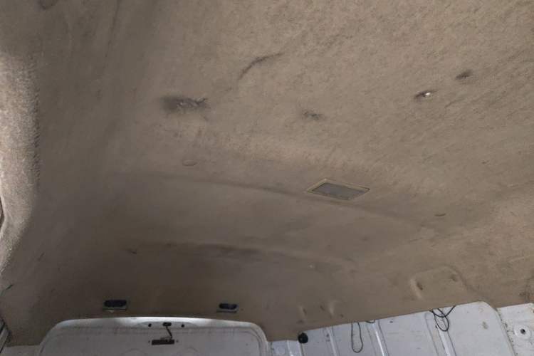 Used Ruichi EC35 2020 EC35 II Standard Edition 38.7 kWh Headliner
