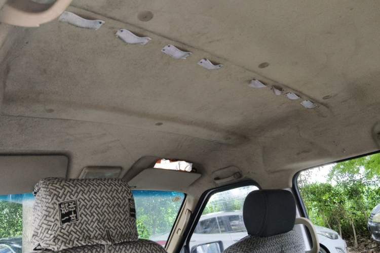 Used Ruichi EC35 2020 EC35 II Standard Edition 38.7 kWh Headliner