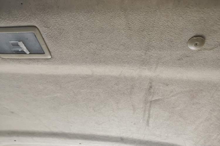 Used Ruichi EC35 2021 EC35 II Standard Edition 38.7 kWh Headliner