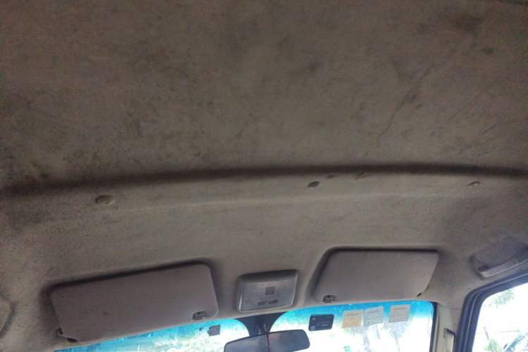 Used Ruichi EC35 2021 EC35 II Creative Edition 36.288 kWh Headliner