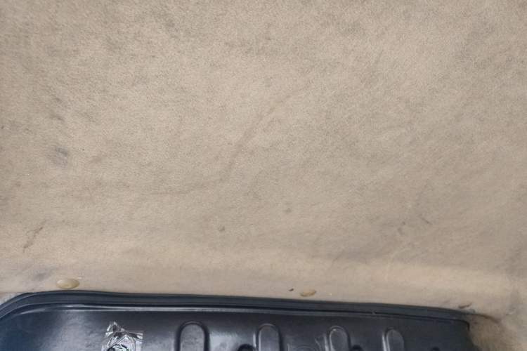 Used Ruichi EC35 2021 EC35 II Creative Edition 36.288 kWh Headliner