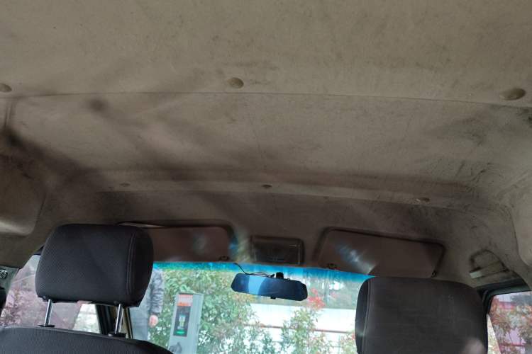 Used Ruichi EC35 2021 EC35 II Creative Edition 36.288 kWh Headliner