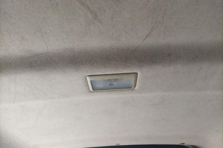 Used Ruichi EC35 2021 EC35 II Standard Edition 38.7 kWh Headliner