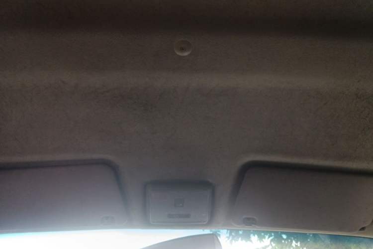 Used Ruichi EC35 2021 EC35 II Creative Edition 36.288 kWh Headliner