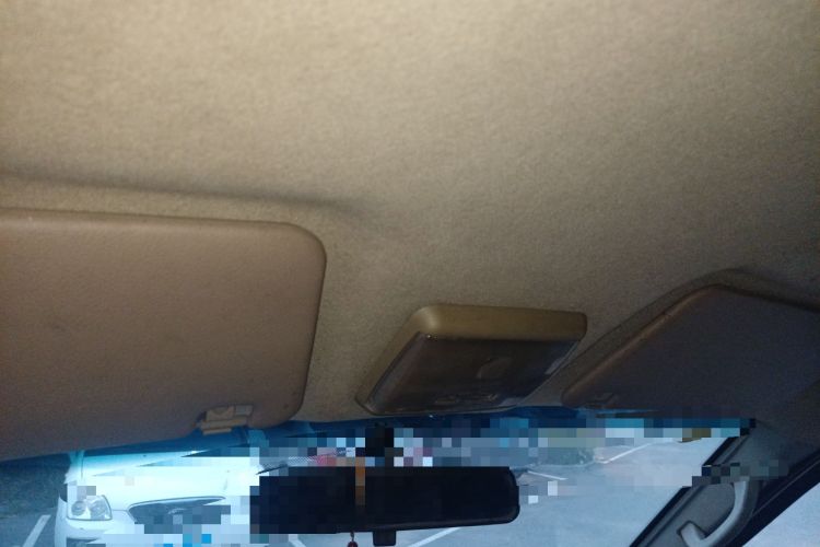 Used Ruichi EC35 2021 EC35 II Standard Edition 38.64 kWh Headliner
