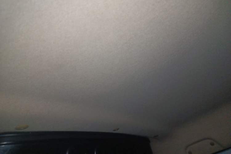 Used Ruichi EC35 2021 EC35 II Standard Edition 38.7 kWh Headliner