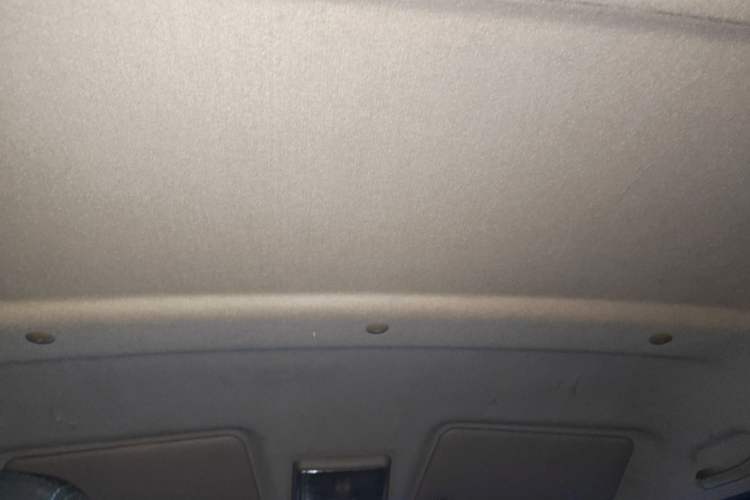 Used Ruichi EC35 2021 EC35 II Standard Edition 38.7 kWh Headliner