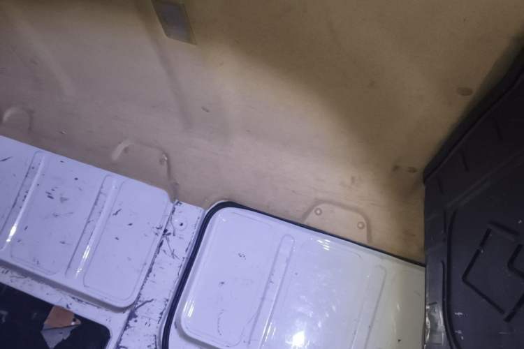 Used Ruichi EC35 2022 EC35 II Creative Edition 36.288 kWh Headliner
