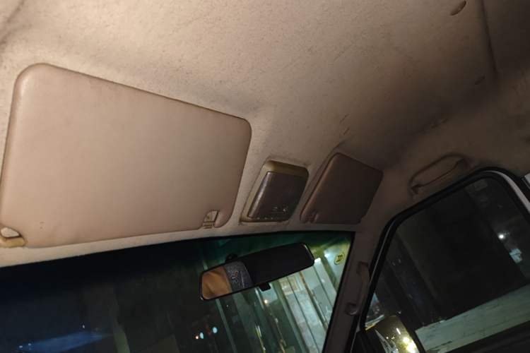 Used Ruichi EC35 2022 EC35 II Custom Edition 31.25 kWh Headliner