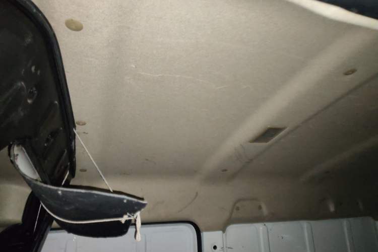 Used Ruichi EC35 2022 EC35 II Creative Edition 36.288 kWh Headliner