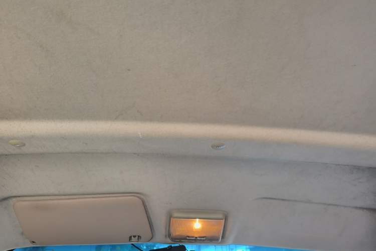Used Ruichi EC35 2022 EC35 II Standard Edition 38.7 kWh Headliner