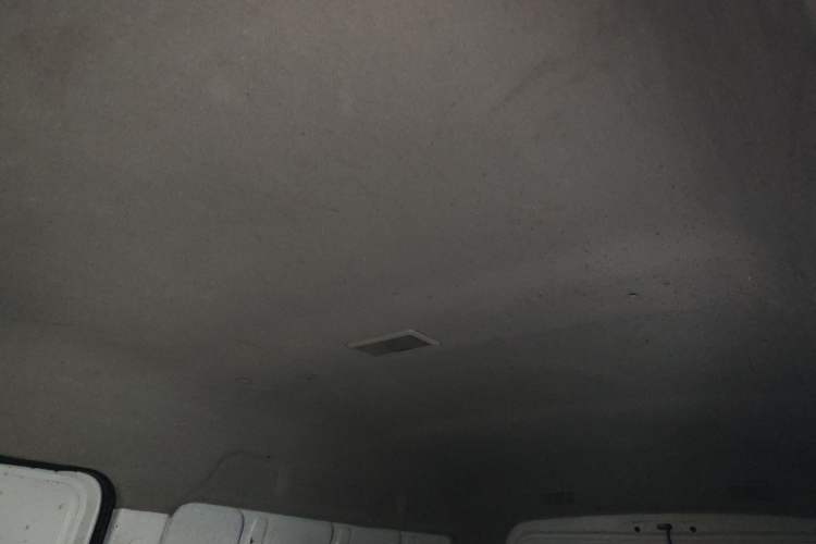 Used Ruichi EC35 2022 EC35 II Custom Edition 31.25 kWh Headliner