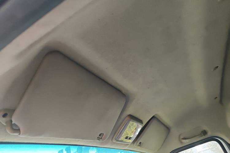 Used Ruichi EC35 2022 EC35 II Standard Edition 38.64 kWh Headliner