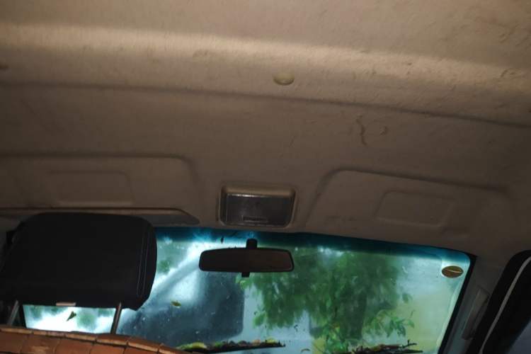 Used Ruichi EC35 2022 EC35 II Standard Edition 39.42 kWh Headliner