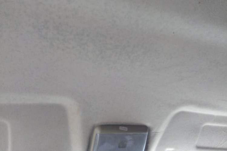 Used Ruichi EC35 2023 EC35II Standard Edition - EVE Headliner