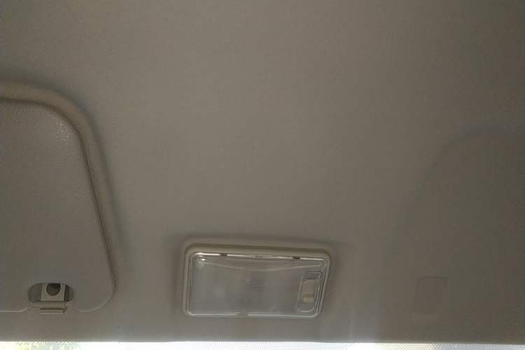 Used Ruichi EC71 2024 EC71L Cargo Pioneer I Model 41.85 kWh Headliner