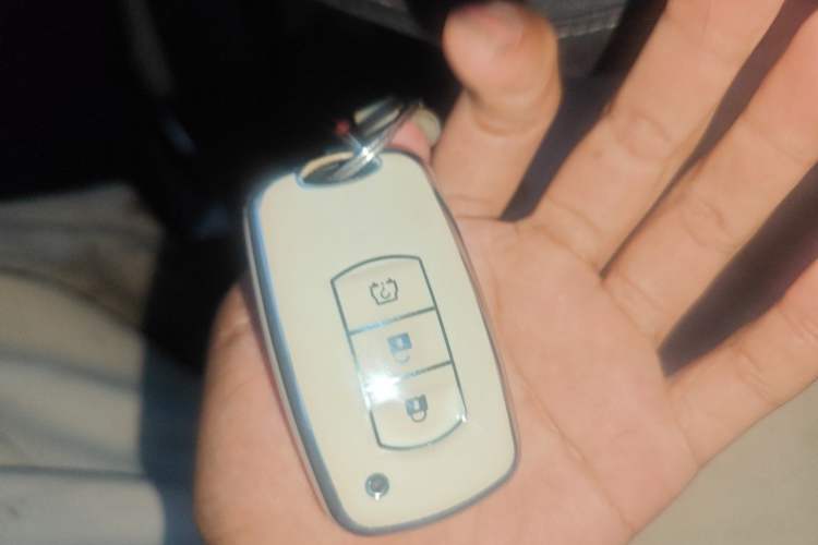 Used Ruichi EC75 2024 Beyond Edition I 50.38 kWh Vehicle Key