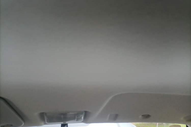 Used Ruichi ED71 2022 ED71 Cargo Pioneer Model I Headliner