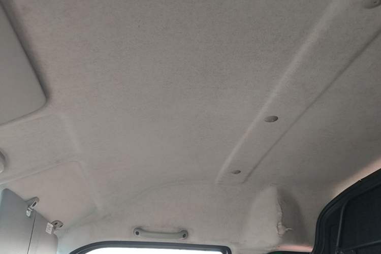 Used Ruichi EK07S 2020 Standard Edition 31.25 kWh Headliner