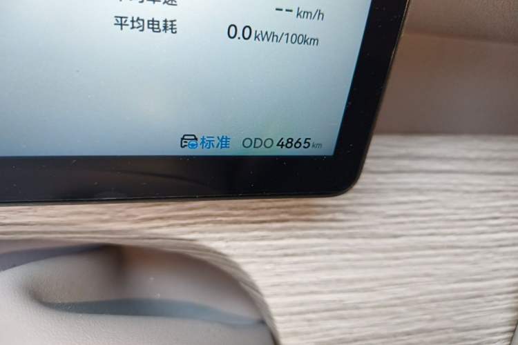 Used Ruichi R5 2025 Model, Passenger Smart Charging Edition, Beyond Type II Odometer Close Up