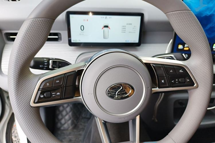 Used Ruichi R5 2025 Model, Passenger Smart Charging Edition, Beyond Type II Steering Wheel