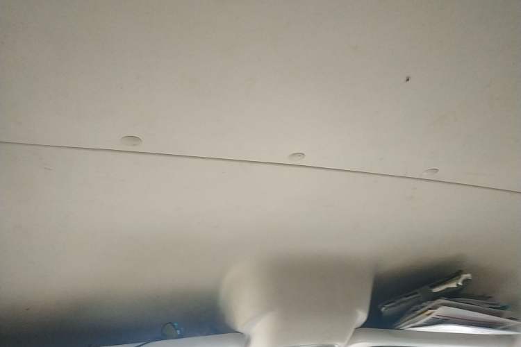 Used SAIC MAXUS 2011 2.5T Short Wheelbase Mid-Height Zunjie Edition Headliner